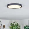 Finsrud ceiling light, Panel LED black, 1-light source