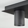Udena ceiling light LED black, 4-light sources