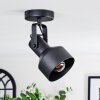 Tylar ceiling light, ceiling spotlight black, 1-light source