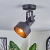 Tylar ceiling light, ceiling spotlight black, 1-light source
