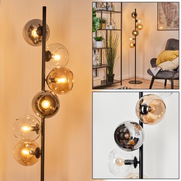 Koyoto globe light, floor lamp 32 cm Amber, chrome, clear, Smoke-coloured, 6-light sources