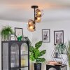 Koyoto ceiling light, globe light 31 cm Amber, clear, Smoke-coloured, 4-light sources
