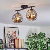 Ripoll ceiling light, globe light Smoke-coloured, 2-light sources