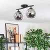 Ripoll ceiling light, globe light Smoke-coloured, 2-light sources