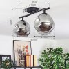 Ripoll ceiling light, globe light Smoke-coloured, 2-light sources