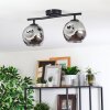 Ripoll ceiling light, globe light Smoke-coloured, 2-light sources