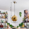 Ripoll hanging light, globe light, pendant light gold, 1-light source