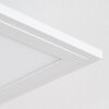 Belan ceiling light, Panel LED white, 1-light source