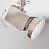 Danil ceiling light, ceiling spotlight LED matt nickel, 4-light sources