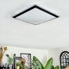 Castasegna ceiling light, Panel LED black, white, 1-light source