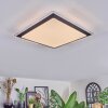 Castasegna ceiling light, Panel LED black, white, 1-light source