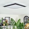 Castasegna ceiling light, Panel LED black, white, 1-light source