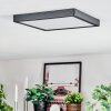Finsrud ceiling light, Panel LED black, 1-light source