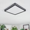 Finsrud ceiling light, Panel LED black, 1-light source