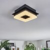 Walon ceiling light LED black, 1-light source