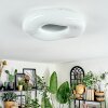 Zuril ceiling light LED white, 1-light source, Remote control