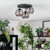 Koyoto ceiling light, globe light Smoke-coloured, 3-light sources