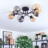 Gastor ceiling light, globe light Amber, clear, Smoke-coloured, 6-light sources