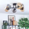 Gastor ceiling light, globe light Amber, clear, Smoke-coloured, 6-light sources