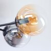 Gastor ceiling light, globe light Amber, clear, Smoke-coloured, 6-light sources