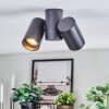 Daril ceiling light, ceiling spotlight black, 2-light sources