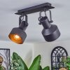 Tylar ceiling light, ceiling spotlight black, 2-light sources