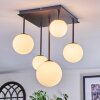 Chehalis ceiling light, globe light white, 5-light sources