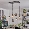 Ripoll hanging light, globe light, pendant light Amber, clear, Smoke-coloured, 6-light sources