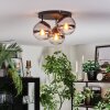 Gastor ceiling light, globe light chrome, clear, Smoke-coloured, 3-light sources