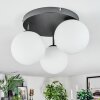 Gastor ceiling light, globe light white, 3-light sources