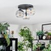 Koyoto ceiling light, globe light Amber, clear, Smoke-coloured, 3-light sources