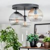 Koyoto ceiling light, globe light Amber, clear, Smoke-coloured, 3-light sources