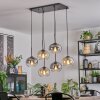 Apedo hanging light, globe light, pendant light Amber, clear, Smoke-coloured, 6-light sources