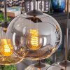 Apedo hanging light, globe light, pendant light Amber, Smoke-coloured, 6-light sources