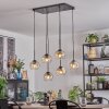 Ripoll hanging light, globe light, pendant light Amber, clear, 6-light sources