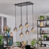 Ripoll hanging light, globe light, pendant light chrome, clear, Smoke-coloured, 6-light sources