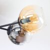 Koyoto ceiling light, globe light Amber, clear, Smoke-coloured, 6-light sources