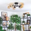 Koyoto ceiling light, globe light Amber, clear, 6-light sources