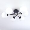 Gastor ceiling light, globe light white, 6-light sources