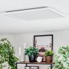 Zuren ceiling light, Panel LED white, 1-light source, Colour changer