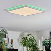 Zuren ceiling light, Panel LED white, 1-light source, Colour changer