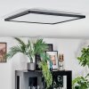 Zuren ceiling light, Panel LED black, 1-light source, Colour changer
