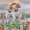 Koyoto ceiling light, globe light gold, black, 8-light sources