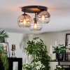Koyoto ceiling light, globe light Amber, clear, Smoke-coloured, 3-light sources