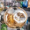 Ripoll hanging light, globe light, pendant light Amber, Smoke-coloured, 6-light sources