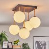 Gastor ceiling light, globe light gold, black, 5-light sources