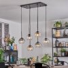Koyoto hanging light, globe light, pendant light Amber, clear, Smoke-coloured, 6-light sources