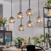 Ripoll hanging light, globe light, pendant light chrome, clear, Smoke-coloured, 6-light sources