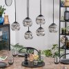 Ripoll hanging light, globe light, pendant light clear, Smoke-coloured, 6-light sources