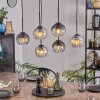 Koyoto hanging light, globe light, pendant light Amber, clear, Smoke-coloured, 6-light sources